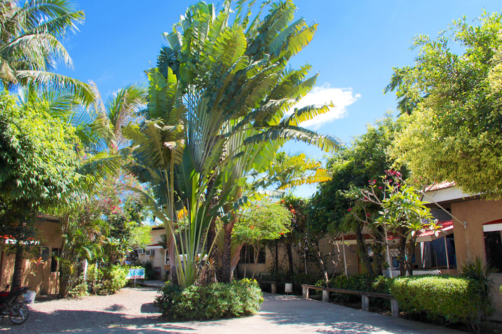 Bayside English Cebu RPC Campus の外観